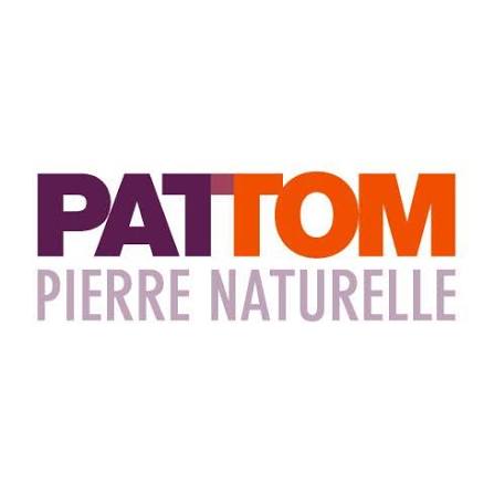 Logo Pattom